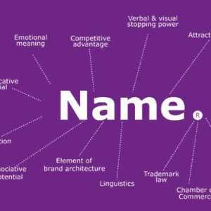 Kako nazvati kompaniju: primjeri imena