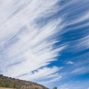 Kako da se formira cirrus oblake i njihova uloga