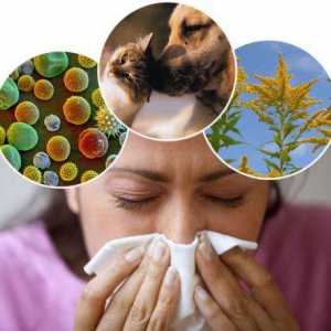 Kako razlikovati alergije iz hladnog - u čemu je razlika