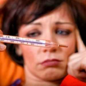 Kako pobijediti virus gripa uz pomoć droge za vrijeme trudnoće Antigrippin