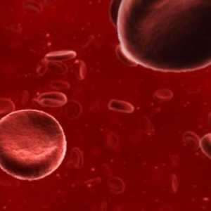 Kako podići hemoglobina: hrana, ljudi, droge