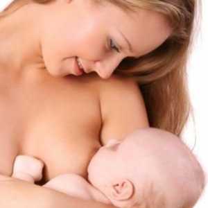 Kako staviti bebu na grudi? jednostavnih saveta