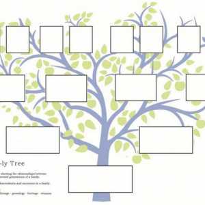 Kako napraviti obiteljsko stablo. Program za izgradnju genealoško stablo
