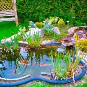 Kako stvoriti vrtno jezerce na sajtu?