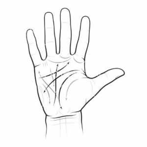 Kako interpretirati vrijednost hiromantija linija na dlanu