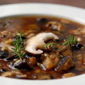 Kako kuhati ukusan i raznolik juha aspen gljiva