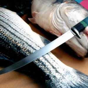 Kako odabrati slabine nož riba. Kvaliteta nož za rezanje ribe