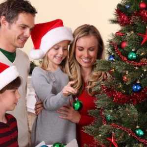 Kako odabrati umjetni jelku? Bijele umjetnih božićno drvce: pro i kontra