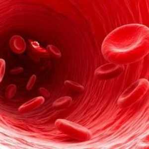 Kao što je povezano krvne grupe djece i roditelja? Pravila za prijenos naslijedila