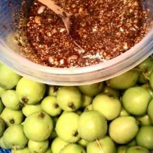 Kako se pripremiti za zimu kiseli jabuke sa raženog brašna i drugih recepata
