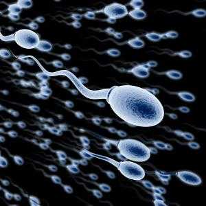 Ono što bi trebalo da bude sperme, i koji su faktori negativno utiču na nju