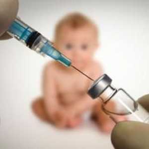 Ono što je potrebno dijete cijepljenja u godini?