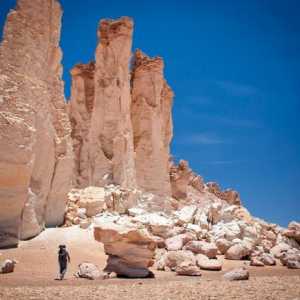 Ono što znamo geografske karakteristike koji su doprinijeli formiranju pustinji Atacama?