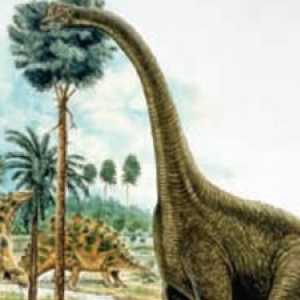 Ono što je bilo dinosaura biljoždera