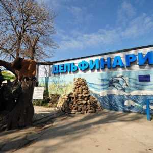 Ono što Dolphinarium u Sevastopolju? Učimo!