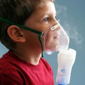 Ono što je najbolje kupiti inhalator za doma?