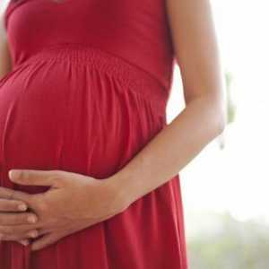 Ono što je normalna težina fetusa na 32 tjedana trudnoće
