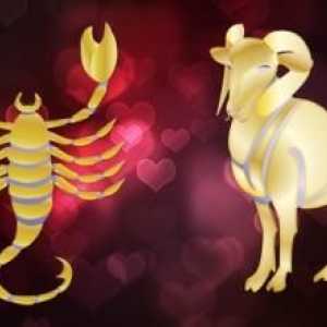 Ono što je ljubav i duhovni kompatibilnosti RAM-a i škorpiona?