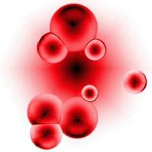 Kolika je stopa bilirubina u krvi žena i muškaraca?