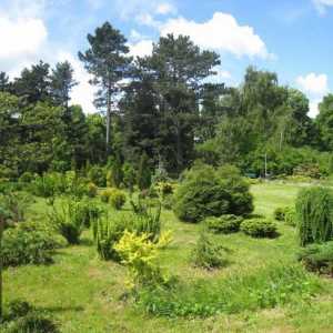 Kalinjingrad botanički vrt u radu, fotografije, službena web stranica i kako da biste dobili