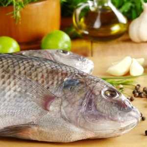 Kalorije: ribe kotleta. Kalorija parena riba kolača