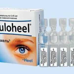 Kapi za oči "Okulohel": instrukcije, indikacije za upotrebu i analozi