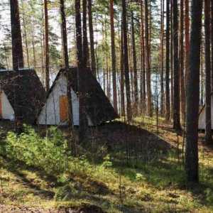 Kamp u regiji Lenjingradu u krilu prirode