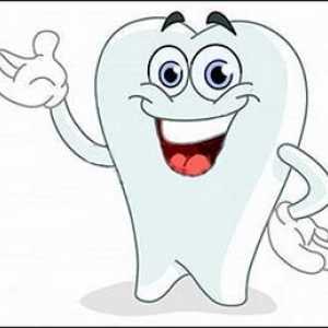 Kada se pojavi prvi zub kod djeteta? Simptomi i pomoći vašem djetetu