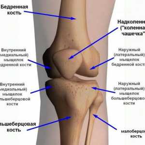 Zgloba koljena: ligamenata i povreda u vezi sa njima. Kako tretirati ligamenta koljena