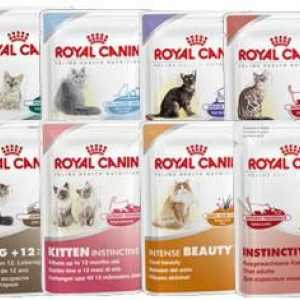 Hrana za mačke "Royal Canin": sastav i recenzije