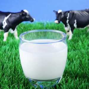 Masti, koristi i štete: kravljeg mleka