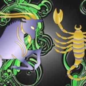 Jarac čovjek - škorpion žena: jedinstvo jake ličnosti