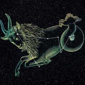 Jarac: Horoskopski znak element