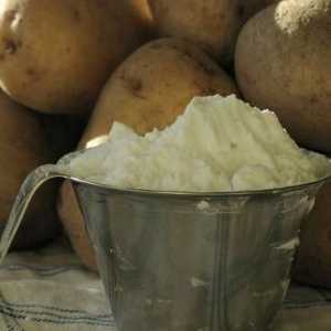 Skrob: prednosti i štete. Korisni svojstva kukuruza i krumpira škrob