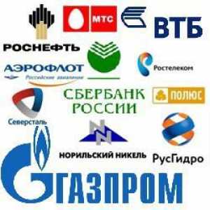 Velika preduzeća Rusija. Ruski industrijskim preduzećima