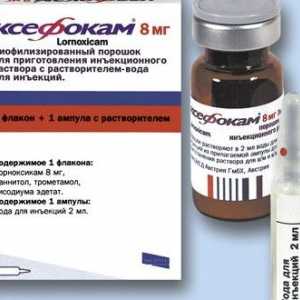 "Ksefokam": uputstva za upotrebu injekcija