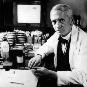Koji je otkrio penicilin? Povijesti otkrića penicilina