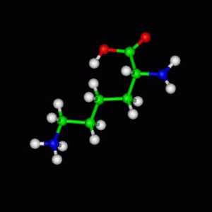L-lizin: karakterizacija i primjena određene amino kiseline