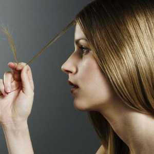 Tretman split završava kose kod kuće: recepti tradicionalne medicine