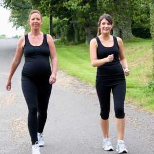 Lako vježbe za trudnice: 3 trimestra, 2. i 1.