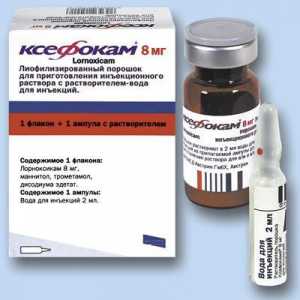 Medicine "Ksefokam" (injekcijama): uputstva za upotrebu, indikacije, kontraindikacije