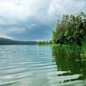 Lake Forest Belarus - priča divljih životinja