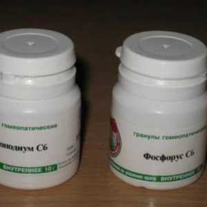 "Lycopodium" (homeopatija): indikacije za upotrebu, stvarna