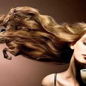 Konja šampon. Pregled i preporuke za upotrebu