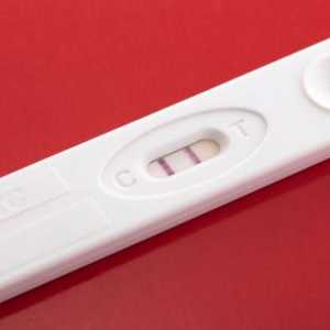 Većina testova za trudnoću u ranim fazama: naziv
