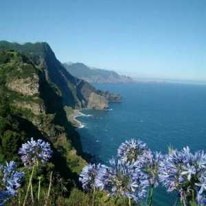 Madeira. Mišljenje o ovom procvatu otok