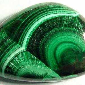 Malachite kamena: svojstva i karakteristike