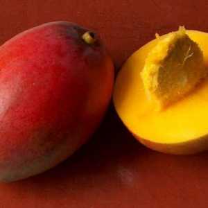 Mango (voće): opis i slike. Gdje raste mango? Koristi i štete od manga