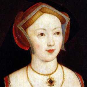 Mary Boleyn: Biografija i poznate ljepotice roman