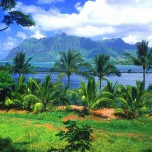 Marquesas Islands. Otocima u Tihom oceanu